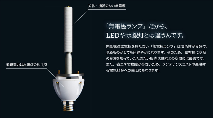 LEDや既存水銀灯とは違う「無電極」ランプです